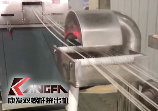65高扭+PLC，尼龍加纖雙螺桿造粒機試機